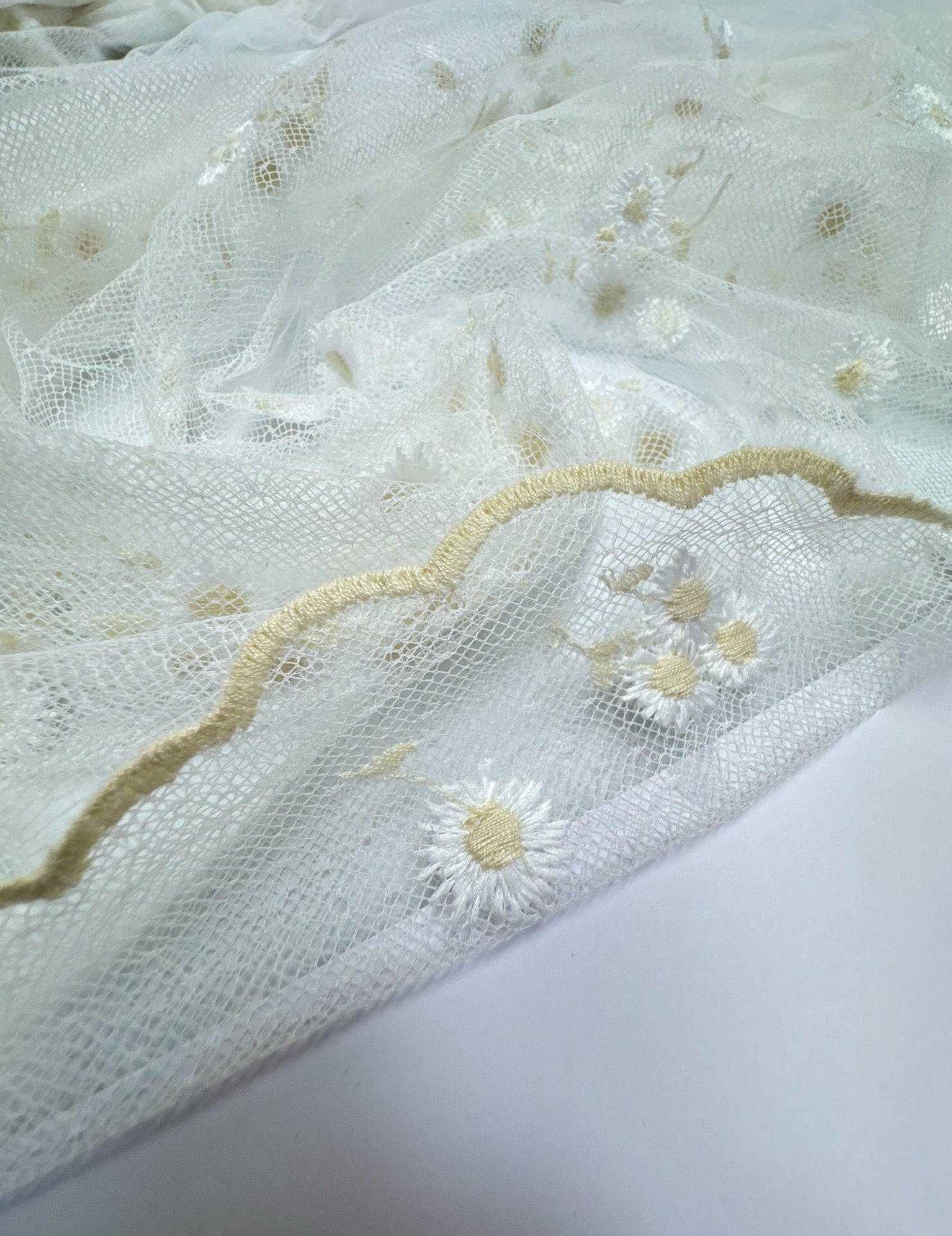 GG-098 – image 2