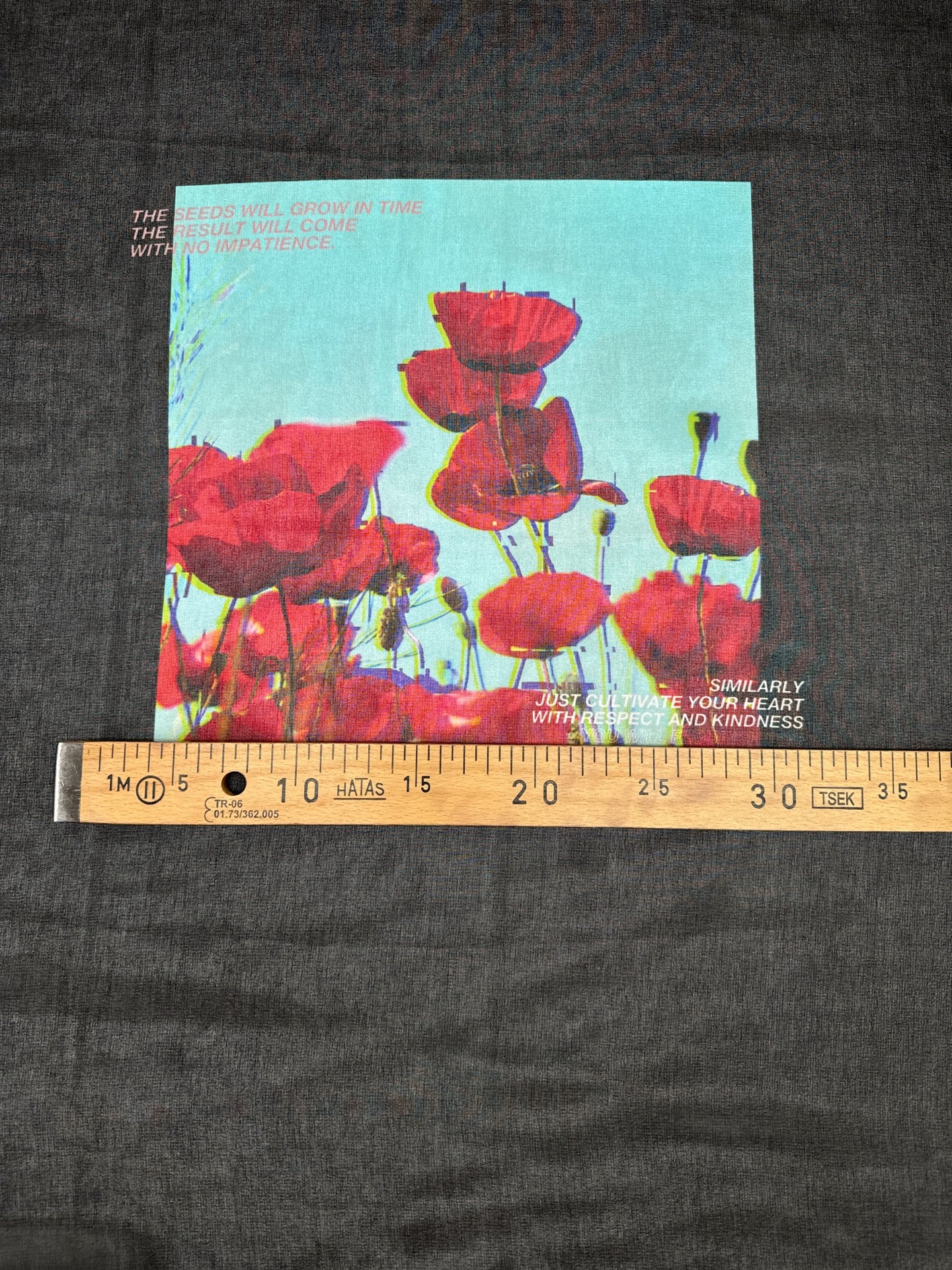 MP-597 – image 4