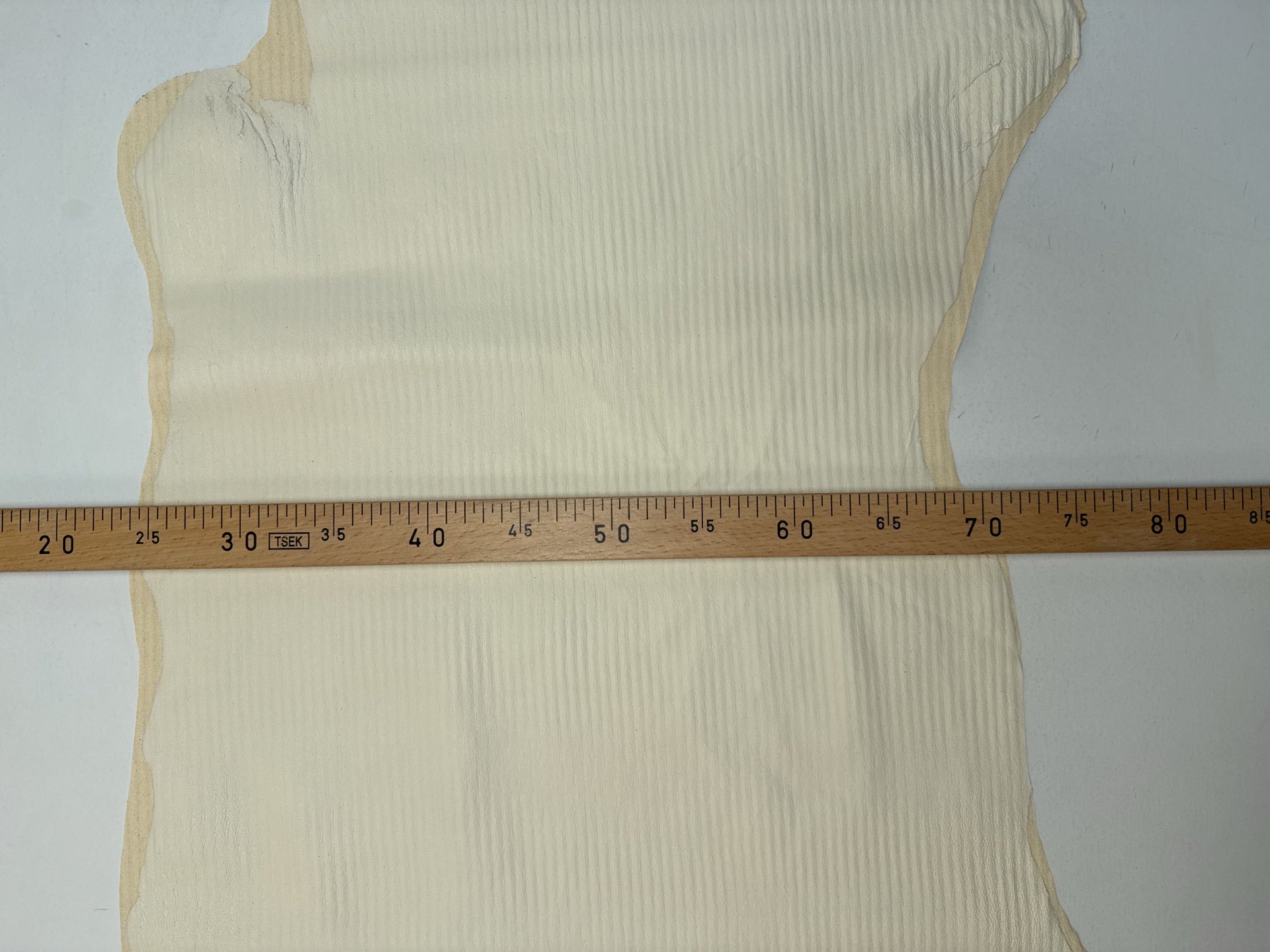 GV-797 – image 5