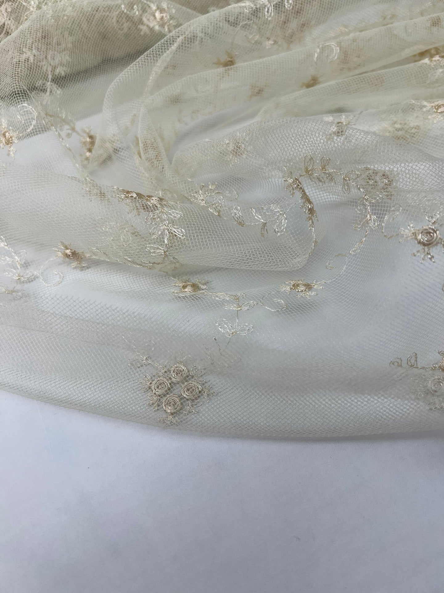 GG-022 – image 2